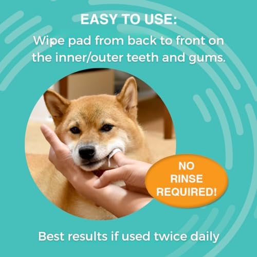 Nootie Medicated Dental Wipes for Dogs with Chlorhexidine, 60 Ct - Image 3
