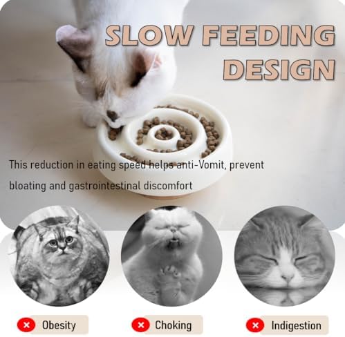 Ceramic Cat Slow Feeder, Raised Slow Feeder Cat Bowl, Anti Vomiting and Whisker Friendly Kitty Dish, Elevated Puppy Kitten Food Bowl for Dry and Wet Food (White) - Image 7