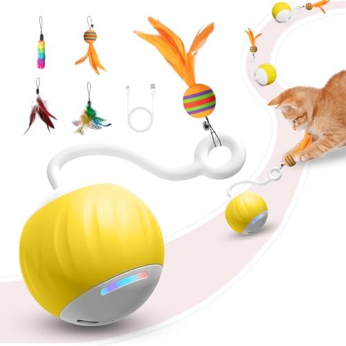 Upgraded 2.36 Inch Large Cat Toy With Touch&Voice Activation for Indoor Cat by AAAAMUSANG