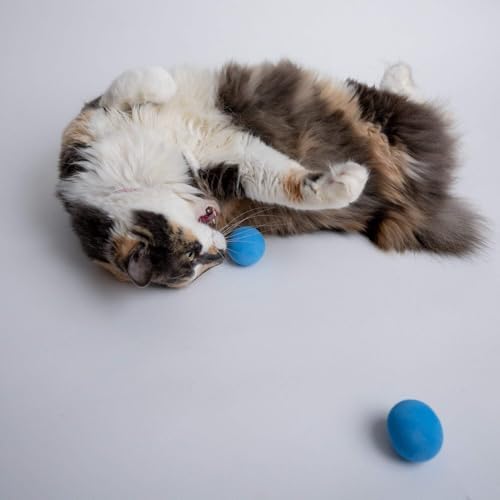Rawry Foam Ball Cat Toy for Indoor Cats & Kittens,12 Pack, Blue - Image 6