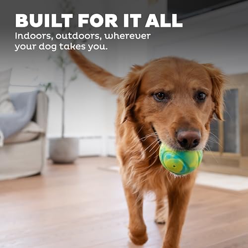 Outward Hound by Petstages Grunt N' Punt Tennis Ball - Fetch Ball Dog Toy, Multi - Image 6