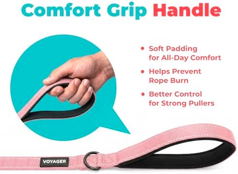 Best Pet Supplies Voyager Nylon Dog Leash - 6ft Pink, Large - Image 5