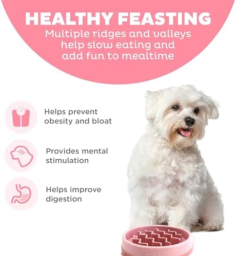 Outward Hound Fun Feeder Slo Bowl Dog Slow Feeder, Wave, Pink, 5.8" - Image 2