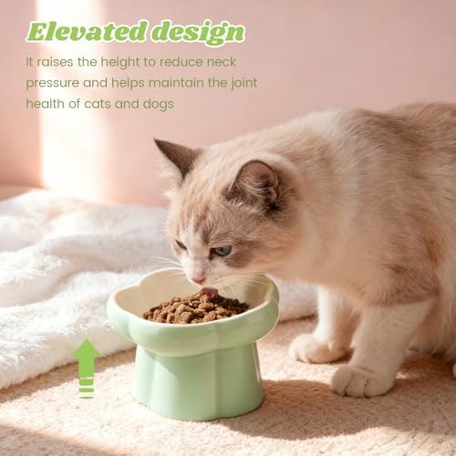Raised Slow Feeder Cat Bowl, 5.71 Inch Ceramic Elevated and Tilted Cat Food Bowl with 2 Scoops, Flower Shaped Cute Cat Dish for Dry and Wet Food (Green) - Image 4