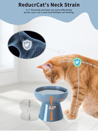 LoeJan Elevated Cat Food and Water Bowls Set, Extra Wide and Raised Ceramic Feeder, Anti-Vomit Whisker-Free Pressure Feeding Bowl for Kittens Adult Small Dogs (Deep Blue) - Image 3