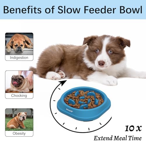 MateeyLife 2-Pack Slow Feeder Dog Bowls, 1 Cup, Dog Puzzle Feeder Bowl - Image 2