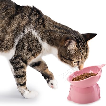 Tilted Elevated Cat Food Bowl - White/Grey/Blue/Pink - 1 Pc - Anti Vomit Raised Pet Bowl for Cats and Small Dogs - 100% Recycled Plastic - Image 2