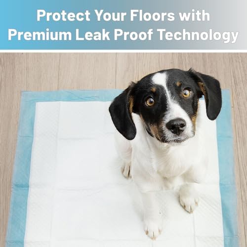 Pet Training Pads, 50 Count Size Medium 18" x 24" Puppy Pads, Absorbent Disposable Pee Pads for Dogs and Puppies (Medium 18x24 inch Pads) - Image 4