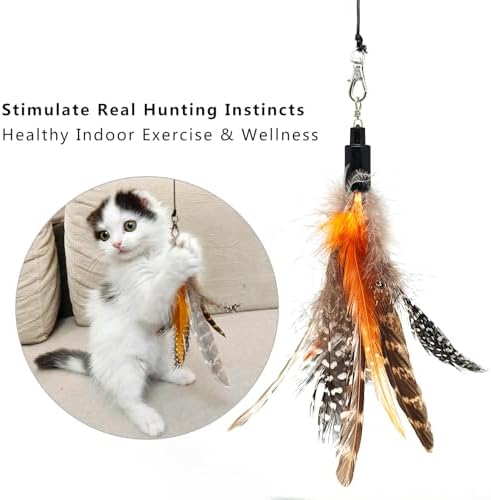 miwoowim 7PCS Cat Wand Refills, 6 Natural Feathers & Replacement String - Image 2