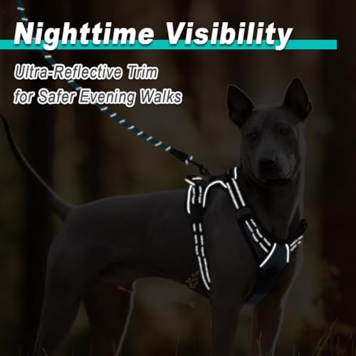 BARKBAY Dog Harness for Large Dog No Pull 2 Leash Clips Dog Vest - Image 5