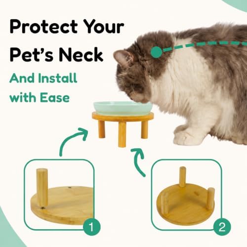 Elevated Ceramic Cat Bowls with Bamboo Stand for Cat Bowl, Whisker Friendly Shallow Cat Plate, Stable Raised Cat Food Riser for Indoor Cats (Green, Set of 1) - Image 3