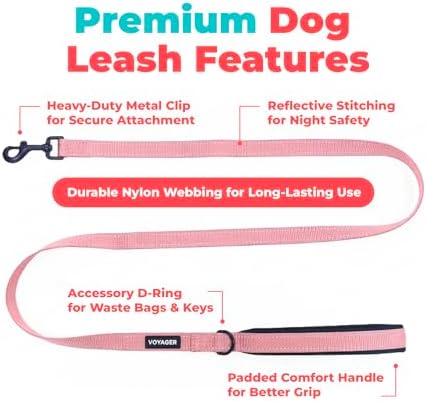 Best Pet Supplies Voyager Nylon Dog Leash - Soft Pink, Medium - Image 2