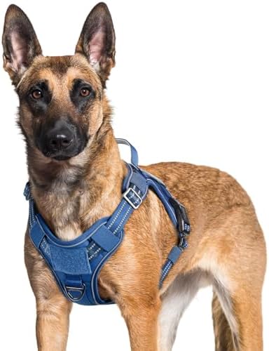 rabbitgoo Tactical Dog Harness for Large Dogs, No Pull Service Pet Vest by rabbitgoo