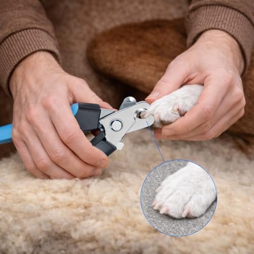 Pet Nail Clippers and File Set for Dogs & Cats – Professional Stainless Steel Nail Trimmer with Safety Guard, Non-Slip Handle, Easy to Use, Perfect for Small, Medium & Large Pets - Image 6