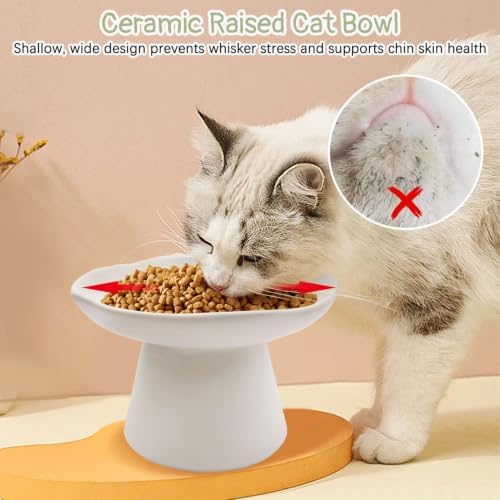 VCEPJH Raised Cat Food Bowls Shallow Cat Plate Pack of 2 Ceramic Elevated Cats Dish 6.1in Flat Anti Whisker Fatigue Wide Pet Food & Water Feeder for Indoor Kitty Kitten (White) - Image 5