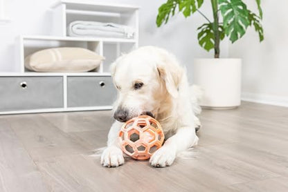 Chuckit! Holee Roller Dog Treat Puzzle Ball, Large (3"), Orange – Interactive Treat & Chew Puzzle Toy for Dogs 60–100 lb – Durable Rubber Fetch Ball for Mental Stimulation – Pack of 1 - Image 3