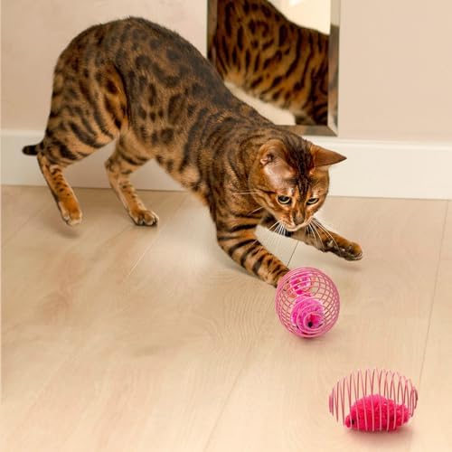Jecery 25 Pcs Cat Toys Spring,Mouse and Bell,Colorful - Image 5