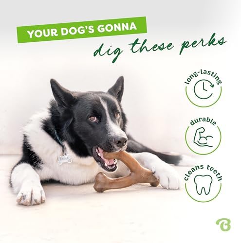 Benebone 2-Pack Wishbone Toy for Aggressive Chewers, Real Bacon, Medium - Image 3
