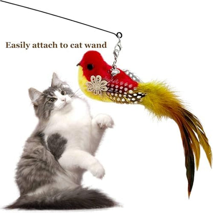 Cat Feather Toy Bird Refills, 12 Pieces Cat Wand Attachments Feather Bird Toy for Indoor Cats - Image 2