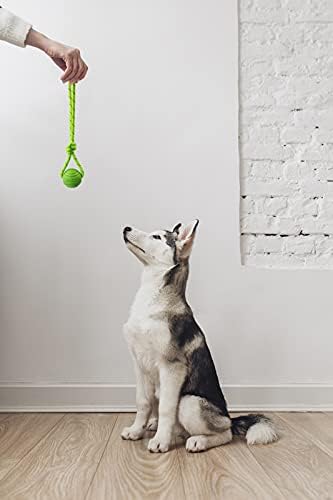 Dog Training Ball on A Rope Rubber Dog Rope Toys Ball with Handle for Tug of War K9 Training Rewards for Belgian Malinois Gifts, 6cm in Diameter for Medium Dogs 30-60 Lbs, Pack of 4 - Image 6