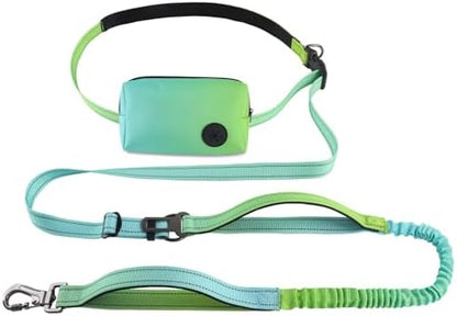 Roses&Poetry Hands Free Dog Leash with Zipper Pouch, 6-9ft Bungee Waist Leash for Medium Large Dogs Walking, Running Lead with Dual Padded Handles Car Safety Buckle for Training Jogging by RosesPoetry