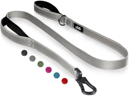 Twoear 6FT 1IN Heavy Duty Dog Leash for Large Dogs with 2 Padded Handles by TwoEar