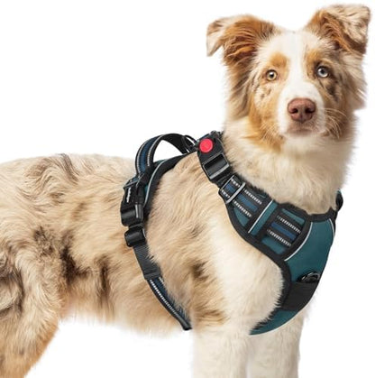 rabbitgoo Dog Harness Medium Sized, Updated Easy On & Off with 3 Buckles by rabbitgoo