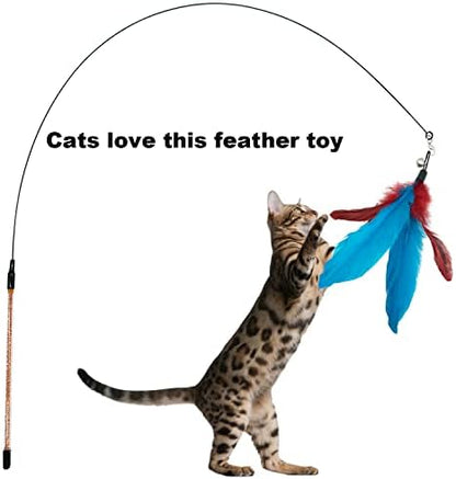 CATENESS Cat Feather Toys Refills, 10 Pieces Cat Wand Replacement Feathers Toy for Indoor Cats - Image 5