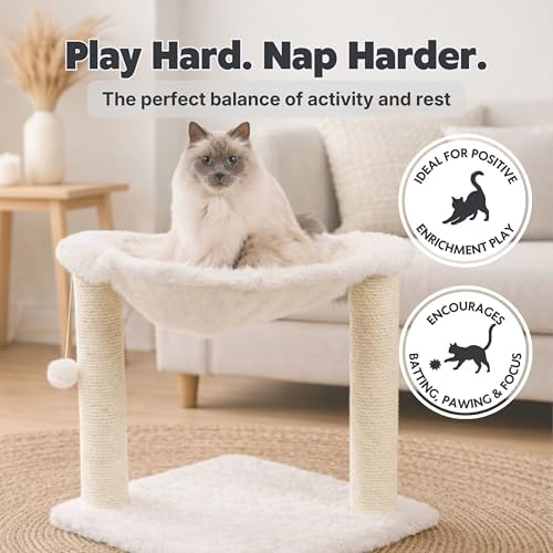 TRIXIE Baza XXL 19.7-in Cat Tree with Hammock, Cream - Image 5