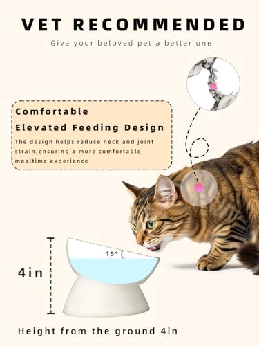 Ceramic Cat Food Bowl, 15° Tilted Raised Cat Food Bowl 5 oz (Vintage White) - Image 3