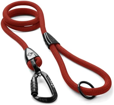 MADE TO ROAM Premium Explorer Leash - Climbing Rope Leash with Autolocking Aviation Aluminum Carabiner - Texas Flair, 4ft by MADETOROAM