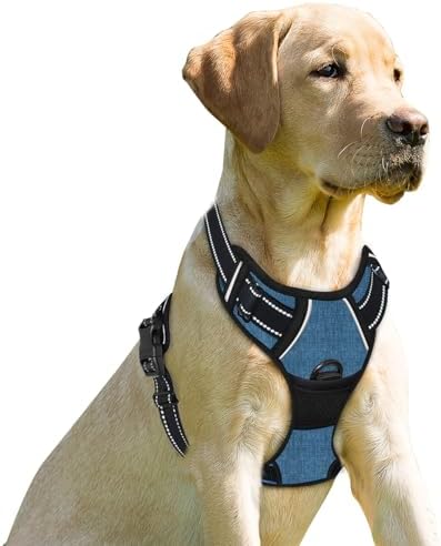 BARKBAY Dog Harness No Pull for Small Sized Dog Front Back Clips,Dog Vest by BARKBAY
