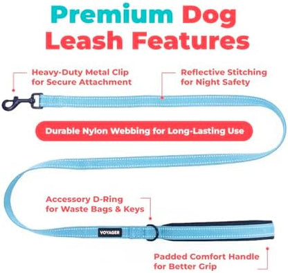 Best Pet Supplies Voyager Nylon Dog Leash - Baby Blue, Large - Image 2