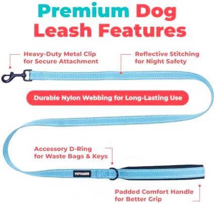 Best Pet Supplies Voyager Nylon Dog Leash - Baby Blue, Medium - Image 2