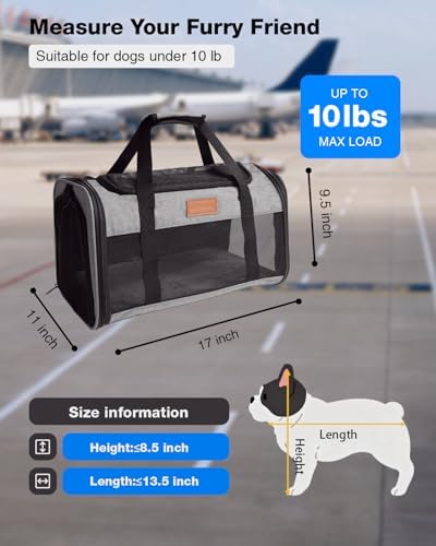 Pet Carrier Airline Approved for Pets Up to 10 Lb, 17x11x9.5 in - Image 3