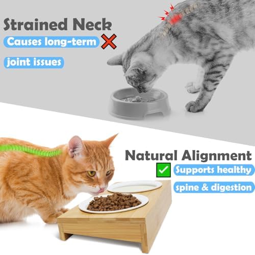 Elevated Cat Bowls,Shallow Wide Whisker Friendly Cat Food & Water Bowl Set - Image 4