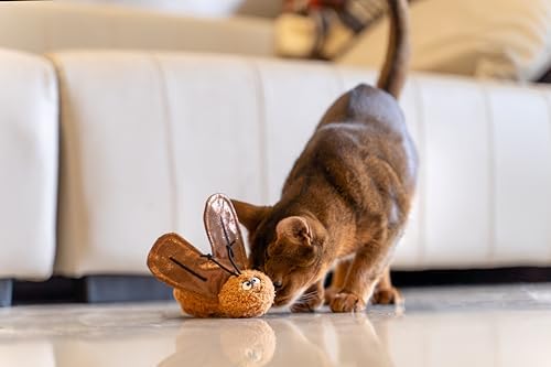 Interactive Catnip Cat Plush Toy, Insect Theme, 5'', for All Breed Size Cats (Cockroach) - Image 4