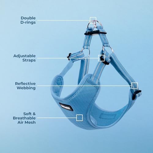 Voyager Step-in Flex Adjustable Dog Harness - Baby Blue, X-Large - Image 4