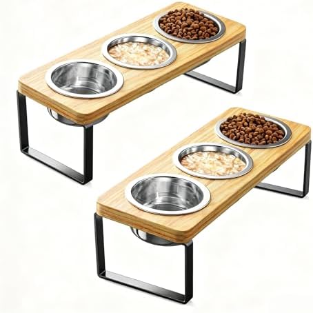 2 Pack Elevated Cat Bowls with 3 Stainless Steel Bowls | 10° Tilted Anti-Vomiting Raised Cat Food Bowl for Small Cats and Puppies Pet Bowl with Stand by AKAOLA