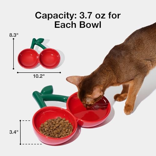 VETRESKA Ceramic Pet Bowl, Tilted Design Pet Feeder for Food and Water - Image 6