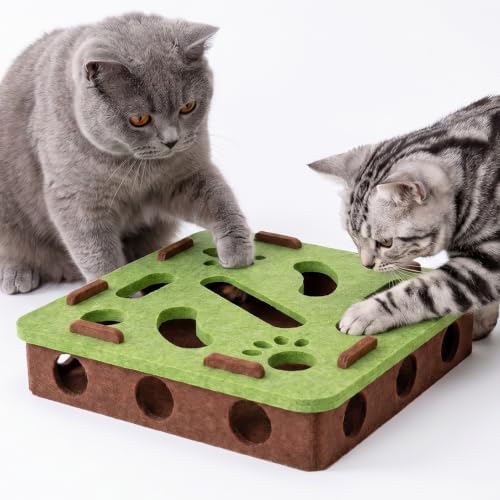 Interactive Cat Puzzle Toy, Mental Stimulation Box with 3 Balls, Indoor Cat Brain Training Game, Green for Kitten Enrichment by Unknown