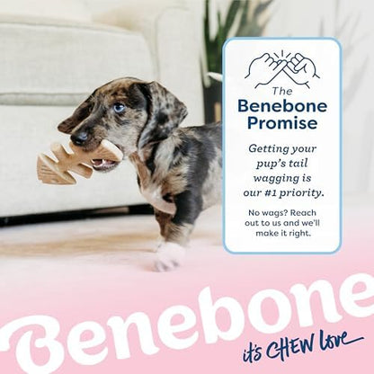 Benebone Puppy Fishbone Dog Chew Toys, Softer for Modest Chewers - Image 6
