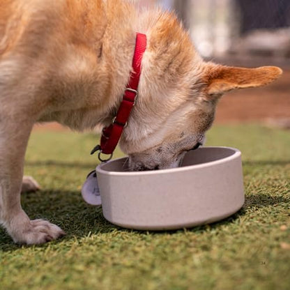Loving Pets - Dolce Bamboo - Eco-Friendly Pet Bowls & Dishes for Dog, Cats, Puppy Food and Water Dish -Sustainable and Dishwasher Safe, Made with Real Bamboo (Small, Oat-Beige) - Image 6