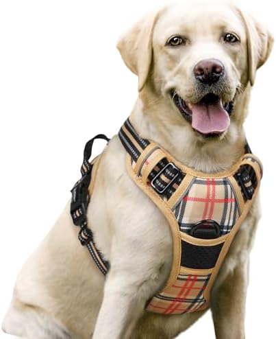 rabbitgoo Dog Harness, No Pull for Large Dogs with 2 Leash Clips, Pet Vest by rabbitgoo