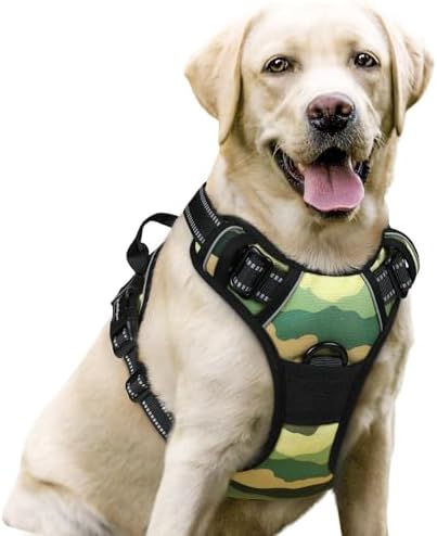 rabbitgoo Dog Harness, No Pull for Large Dogs with 2 Leash Clips, Pet Vest by rabbitgoo