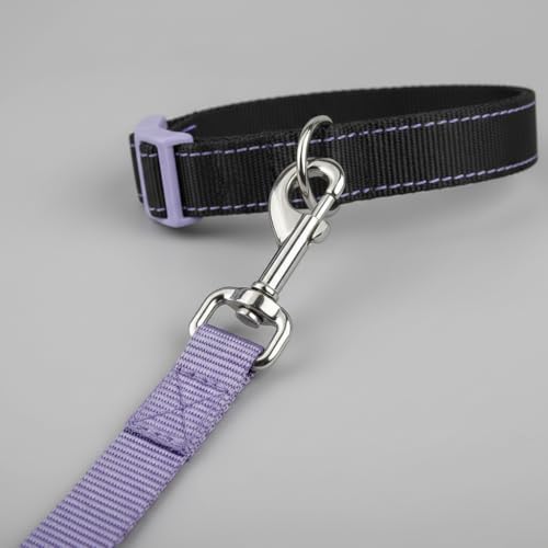 Argo's Pack Heavy-Duty Retractable Dog Leash - 16.4ft Tangle-Free Automatic Pet Walking Leash with One-Hand Brake & Lock, Durable Reflective Nylon Tape for Small Medium Dogs Up to 50 lbs - Image 5