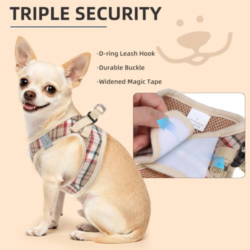 PUPTECK Dog Harness, Collar and Leash Set No Pull for Small Medium Sized - Image 5