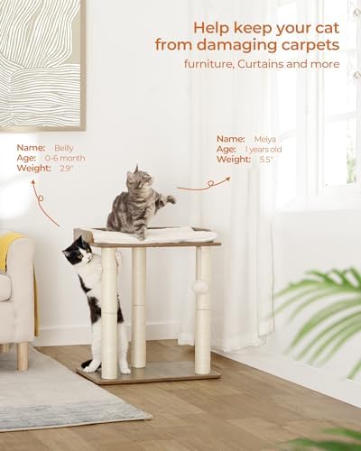 FourFurPets Modern Cat Tree for Large Cats, Full Sisal Cat Scratching Post - Image 2