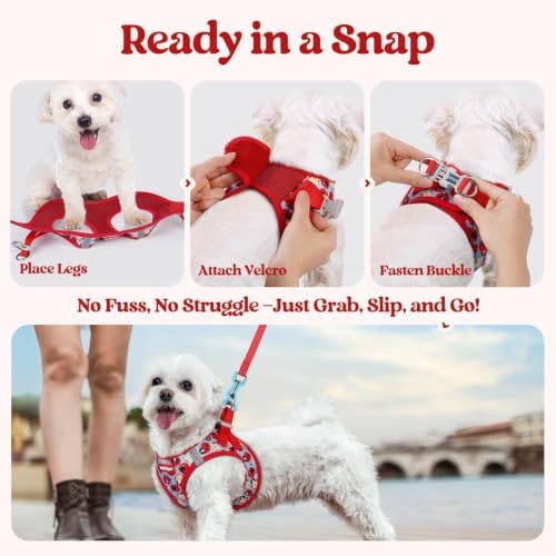 rabbitgoo Dog Harness Small Sized and Leash Set, Step-in Puppy Pet Vest - Image 5