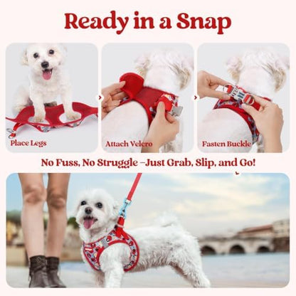 rabbitgoo Dog Harness Medium Sized and Leash Set, Step-in Puppy Pet Vest - Image 5